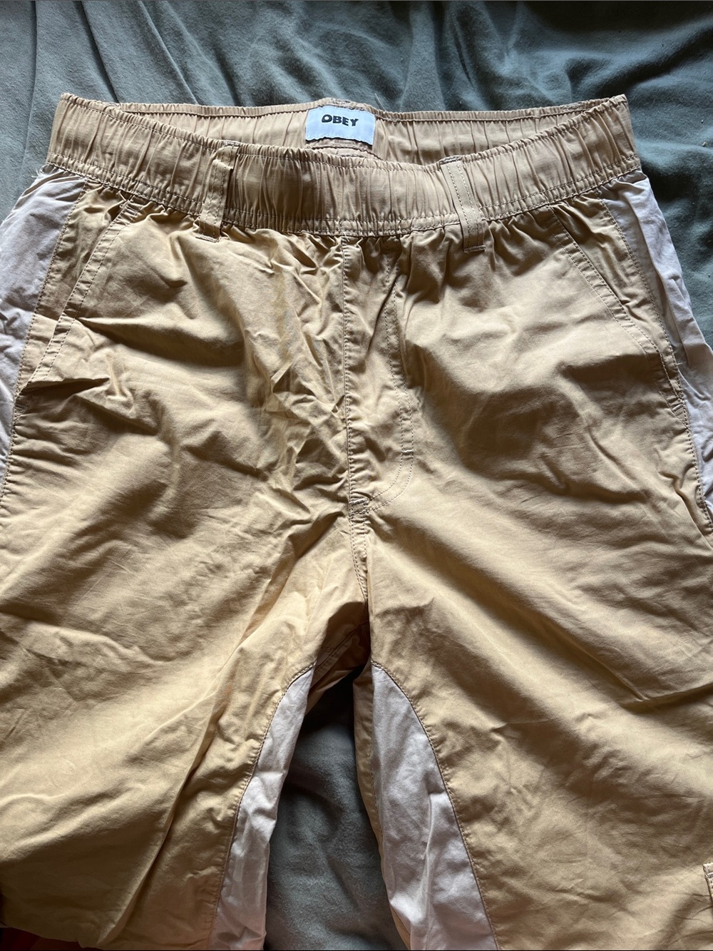 Obey Cargo Pant